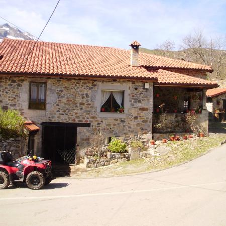 Ver imagen más grande