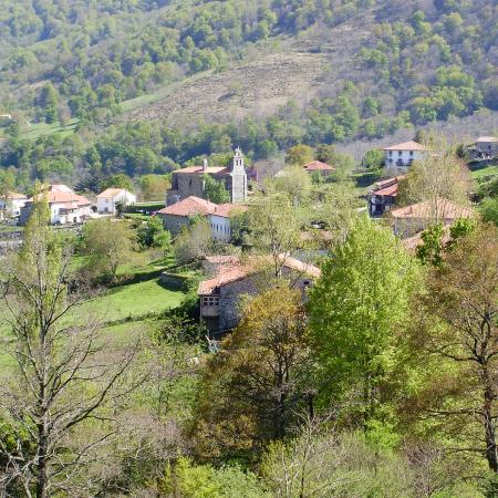 Ver imagen más grande