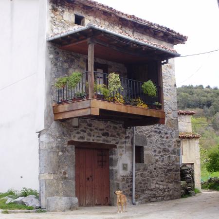 Ver imagen más grande