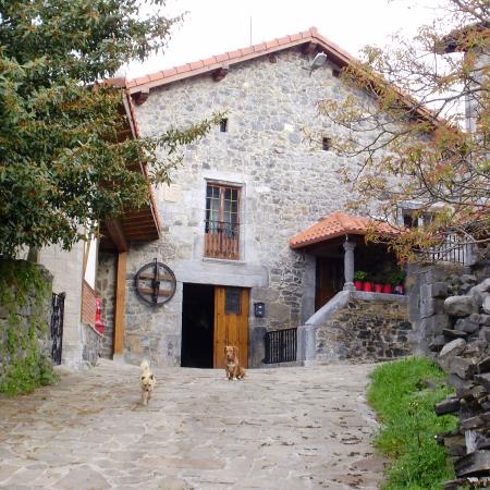 Ver imagen más grande