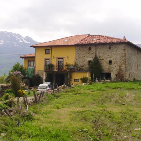 Ver imagen más grande