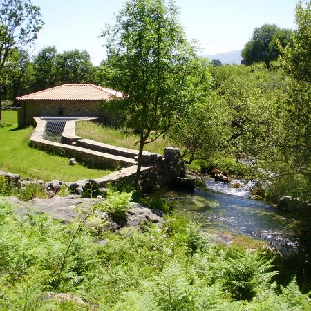 Ver imagen más grande